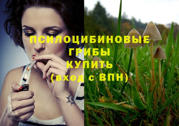 ECSTASY Осташков